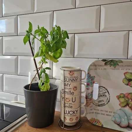 Apartment Blue Bihac
